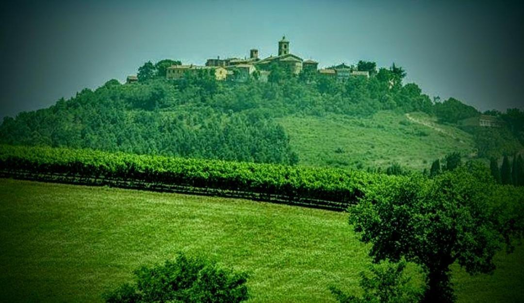 B&B Terramare Montiano  Exterior photo